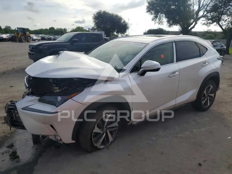 2019 Lexus NX фото