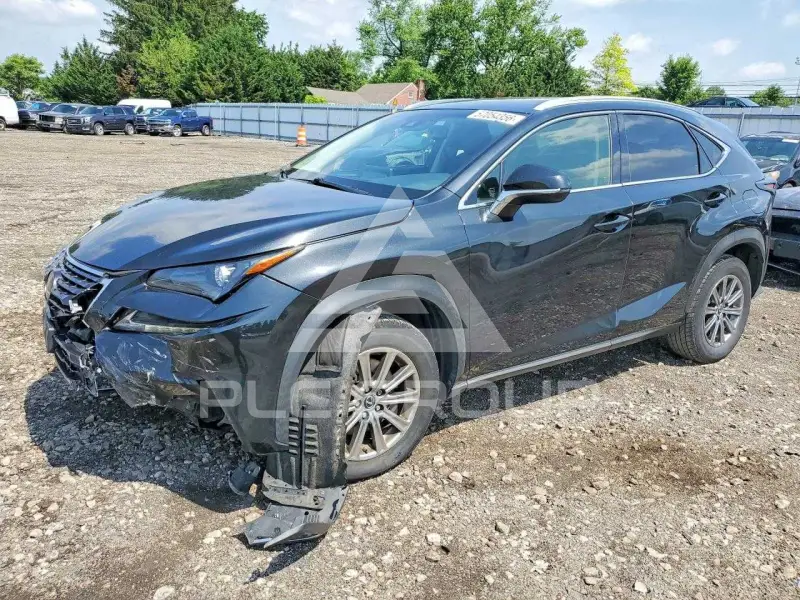 2019 Lexus NX фото