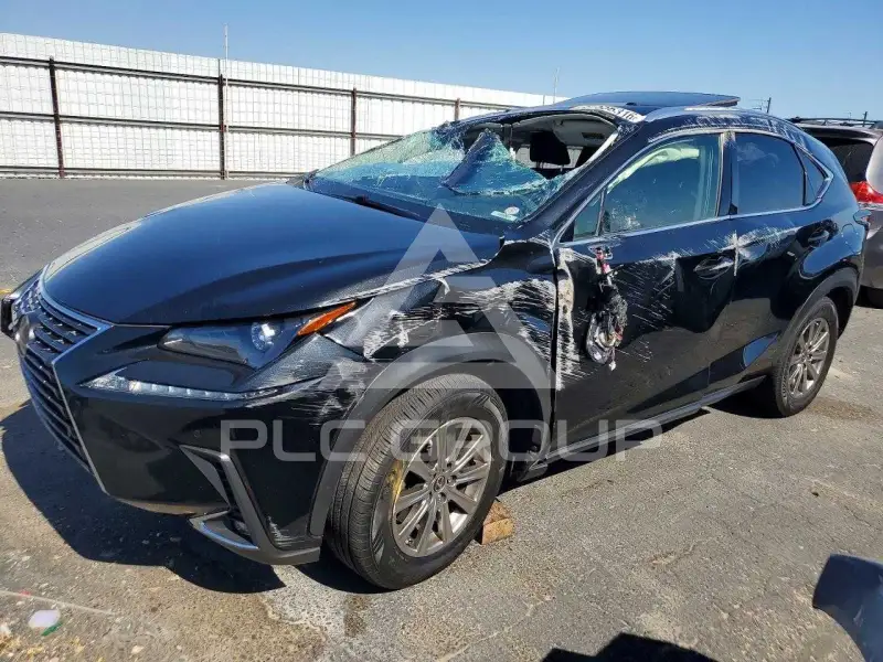 2019 Lexus NX фото