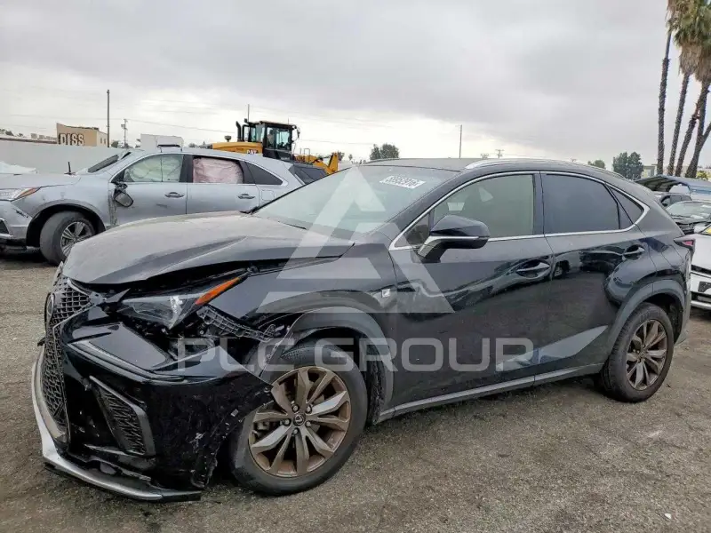 2019 Lexus NX photo