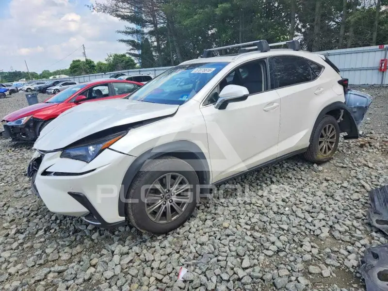 2019 Lexus NX фото