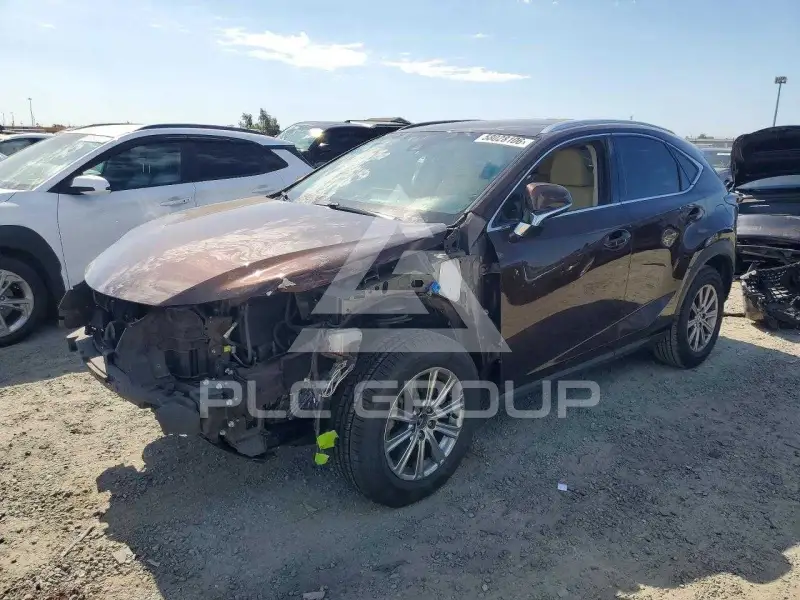 2019 Lexus NX фото