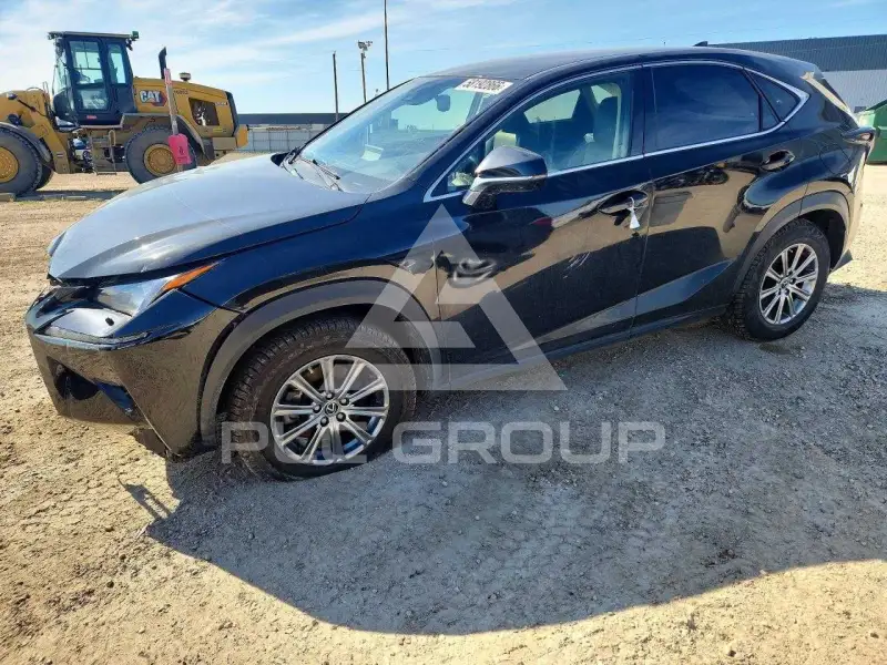 2019 Lexus NX фото