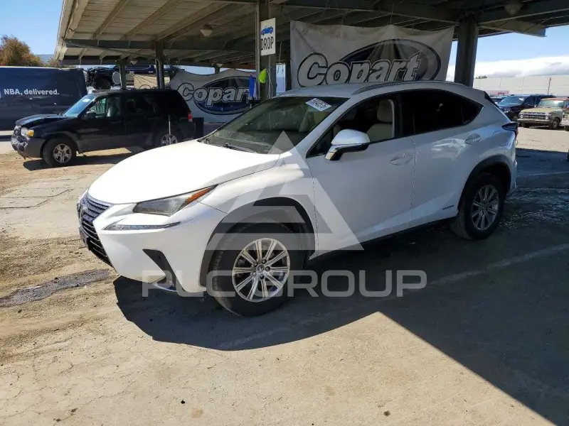 2019 Lexus NX photo
