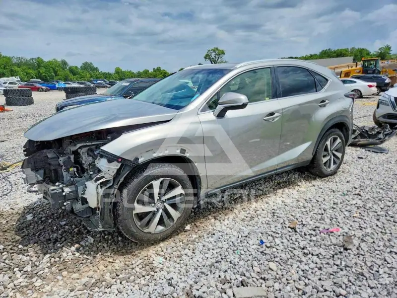 2019 Lexus NX фото