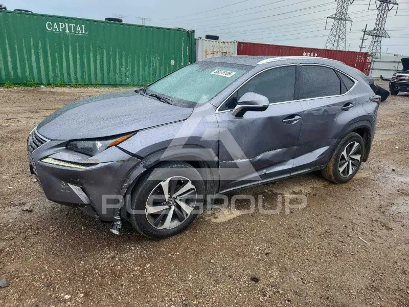 2019 Lexus NX фото