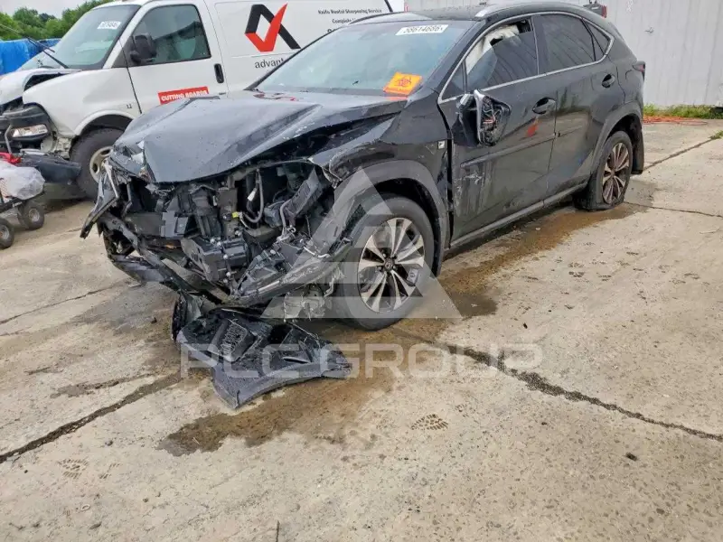 2019 Lexus NX photo