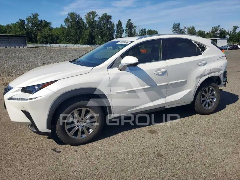 2019 Lexus NX фото