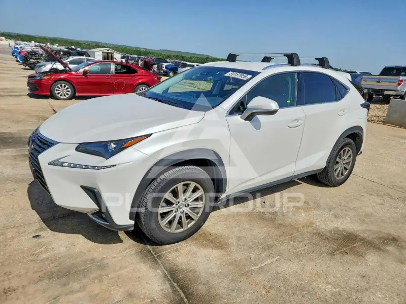 2019 Lexus NX фото
