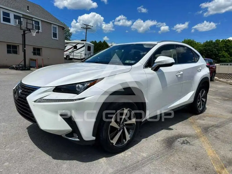 2019 Lexus NX фото