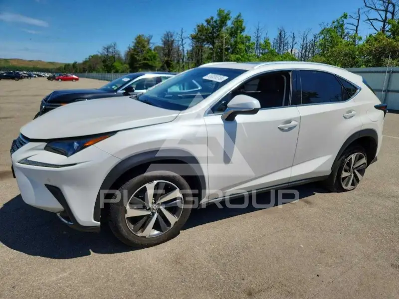 2019 Lexus NX photo
