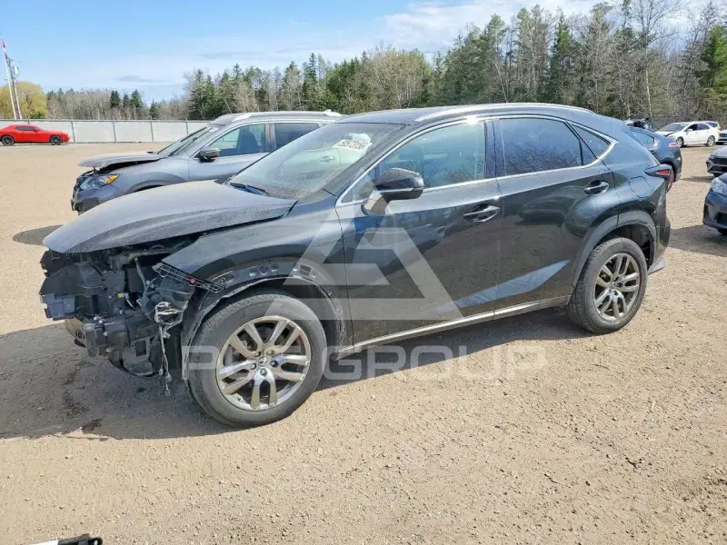 2019 Lexus NX фото