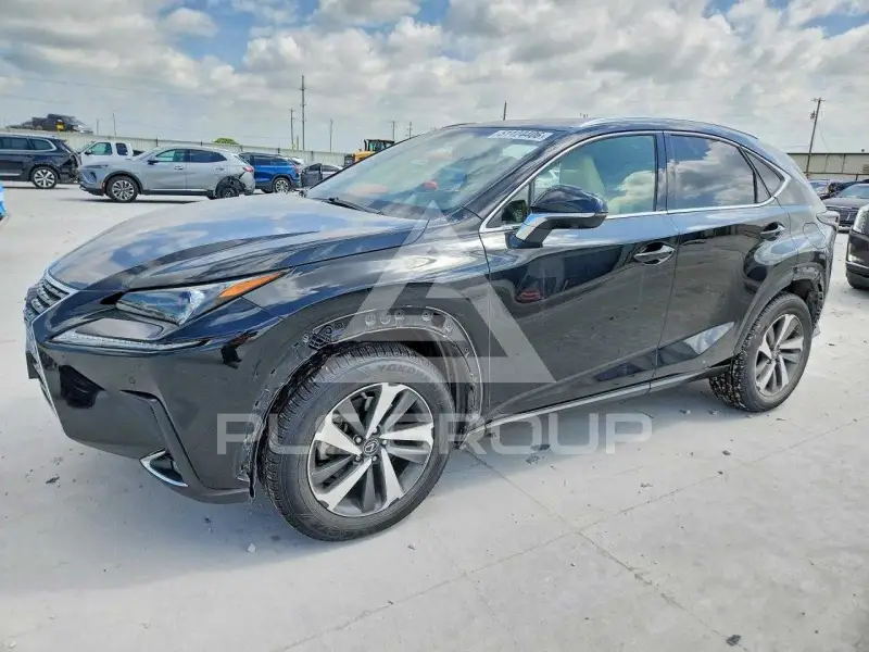 2019 Lexus NX фото