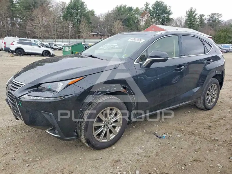 2019 Lexus NX фото