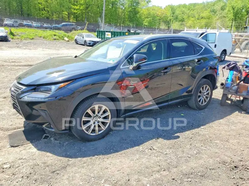 2019 Lexus NX фото