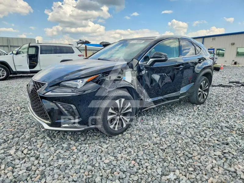 2019 Lexus NX фото