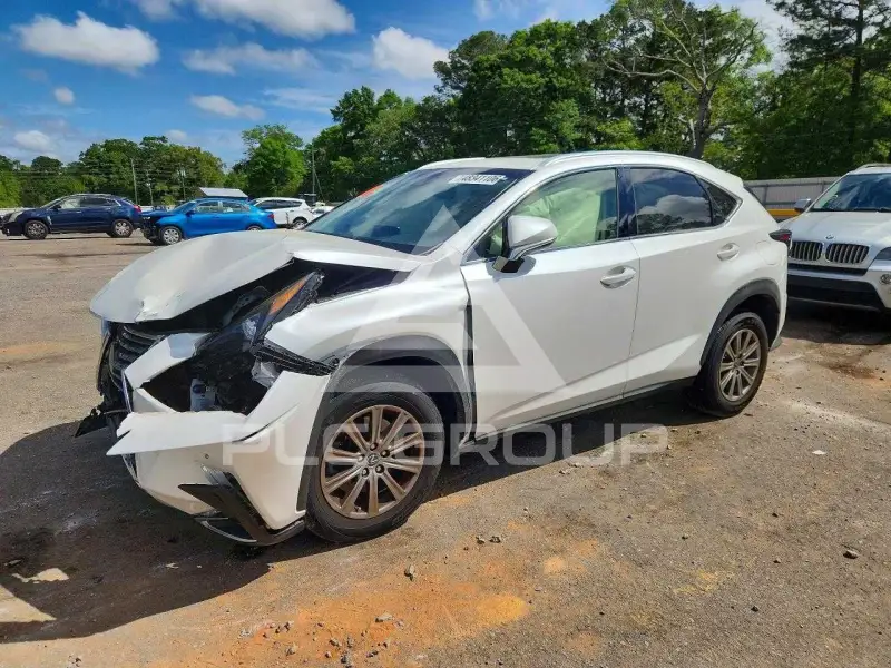 2019 Lexus NX фото