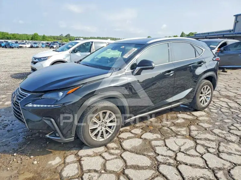 2019 Lexus NX photo