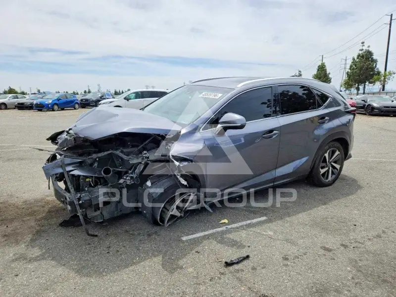 2019 Lexus NX фото