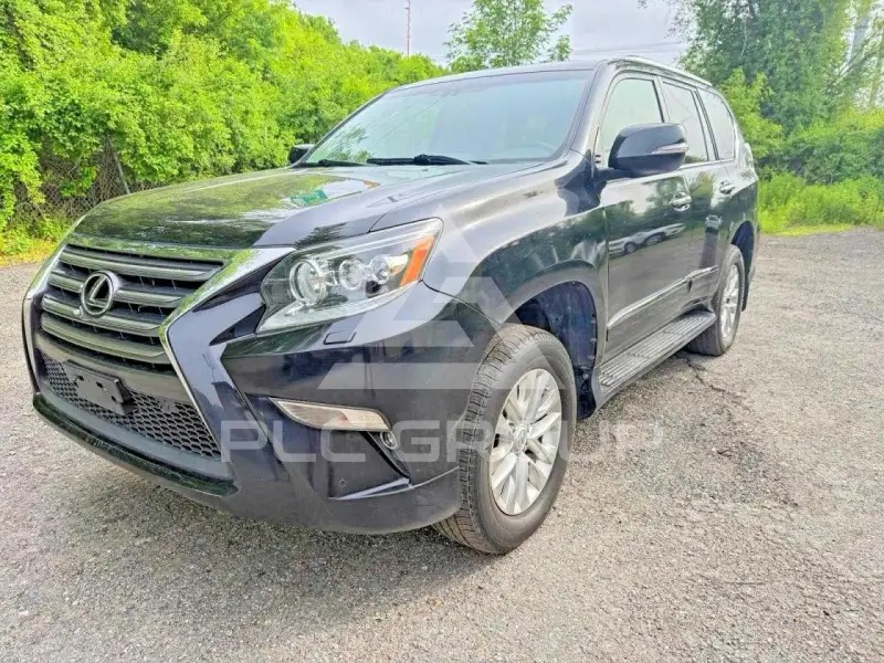 2019 Lexus GX фото