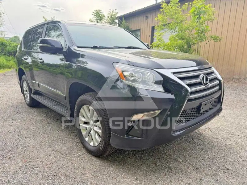 2019 Lexus GX фото