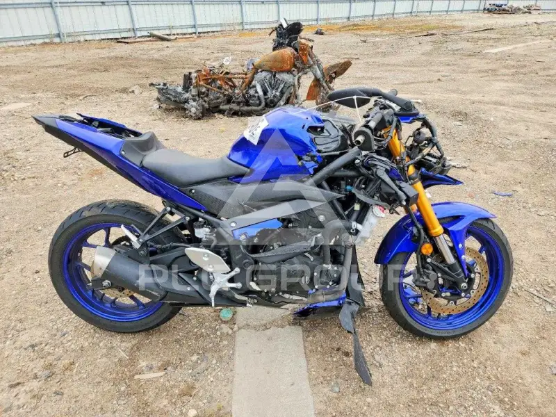 2019 Yamaha YZF600 фото