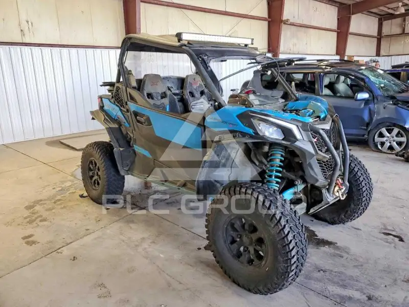 2019 Can-AM  фото