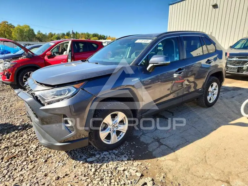 2019 Toyota RAV4 photo