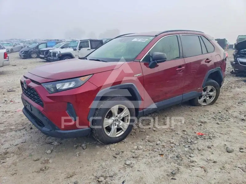 2019 Toyota RAV4 фото