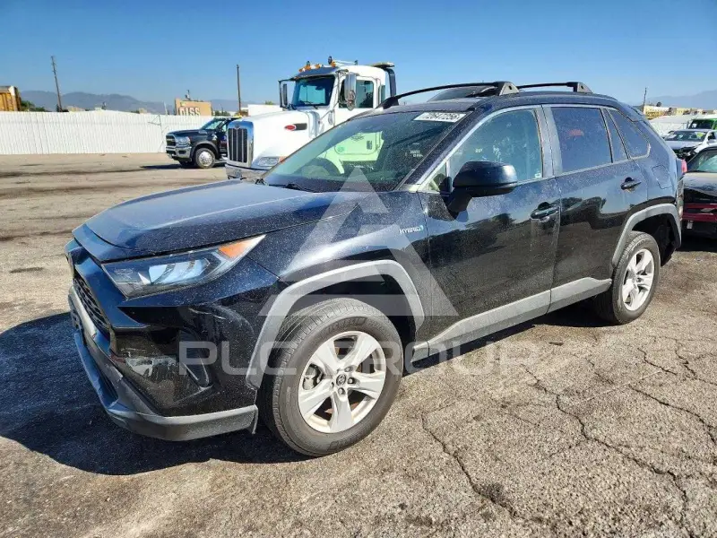 2019 Toyota RAV4 photo
