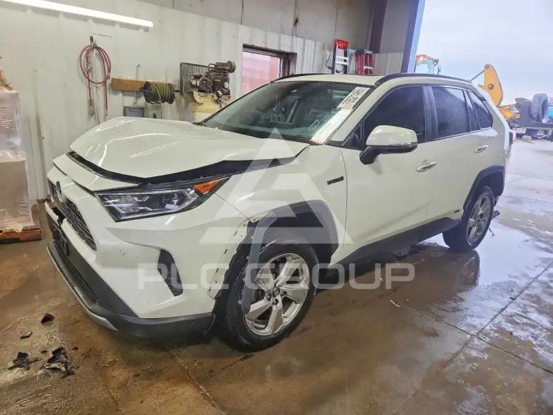2019 Toyota RAV4 фото