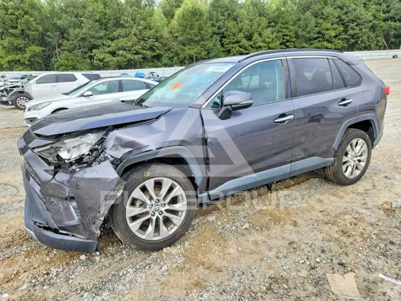 2019 Toyota RAV4 photo