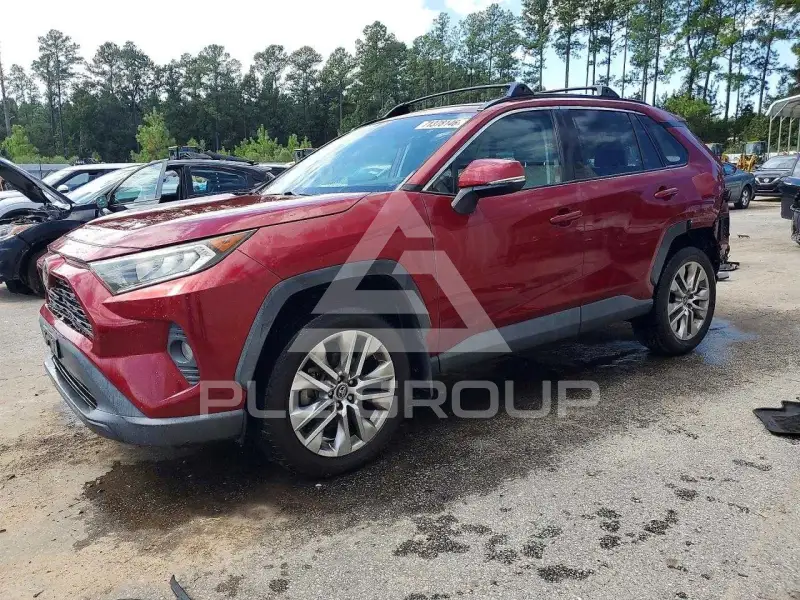 2019 Toyota RAV4 photo