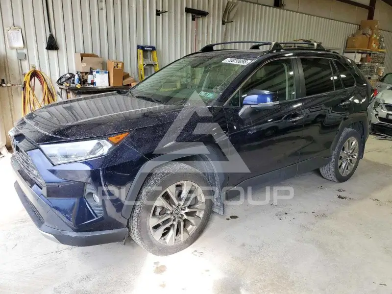 2019 Toyota RAV4 photo