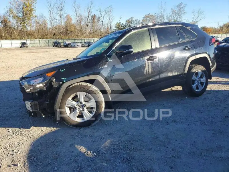 2019 Toyota RAV4 фото