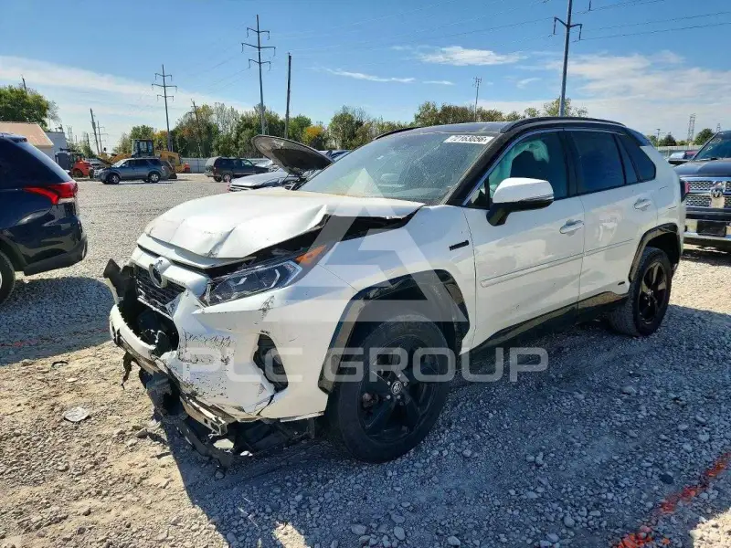 2019 Toyota RAV4 фото