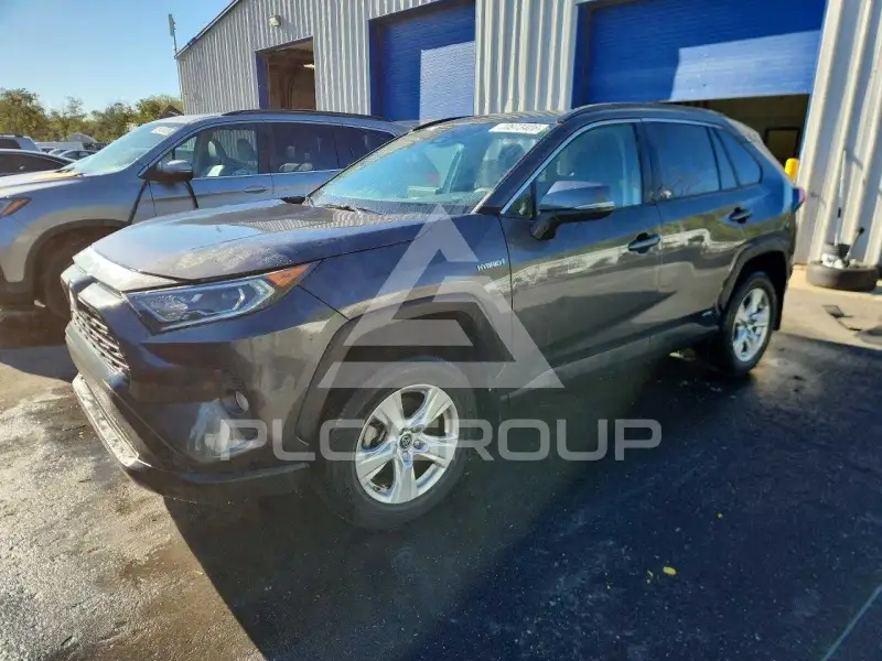 2019 Toyota RAV4 фото