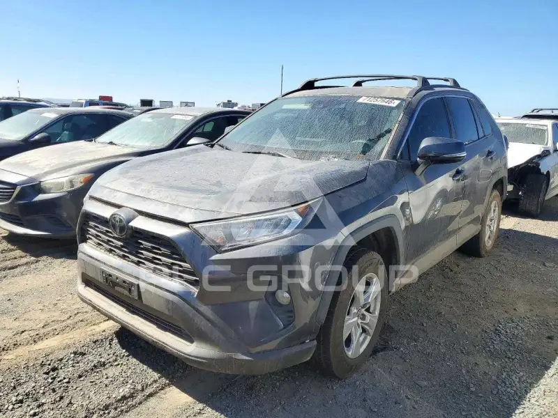 2019 Toyota RAV4 photo