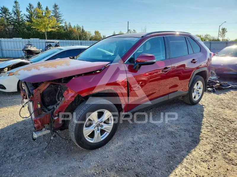 2019 Toyota RAV4 фото
