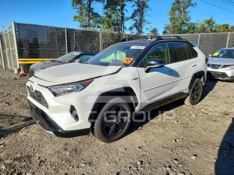 2019 Toyota RAV4 фото