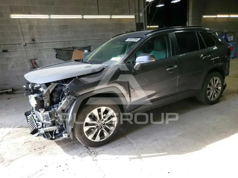 2019 Toyota RAV4 photo