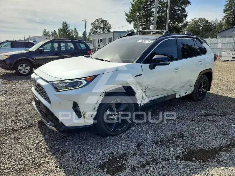 2019 Toyota RAV4 фото