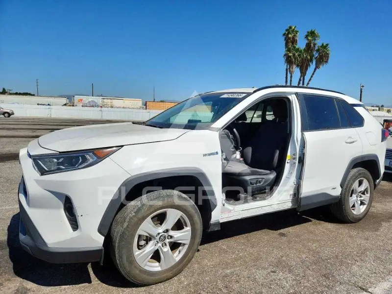 2019 Toyota RAV4 фото