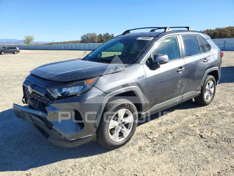 2019 Toyota RAV4 photo