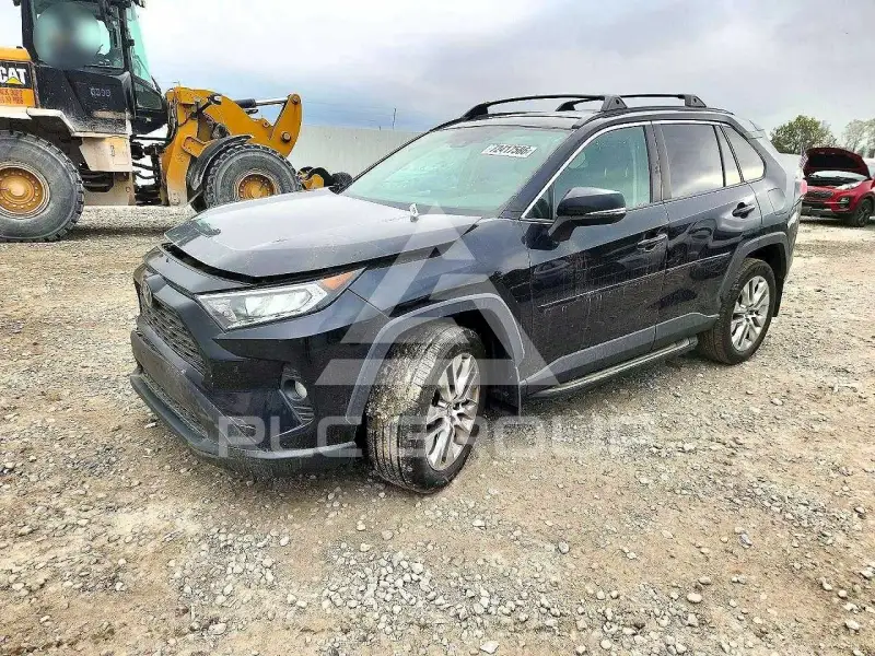 2019 Toyota RAV4 фото
