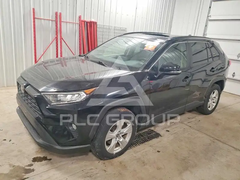 2019 Toyota RAV4 фото