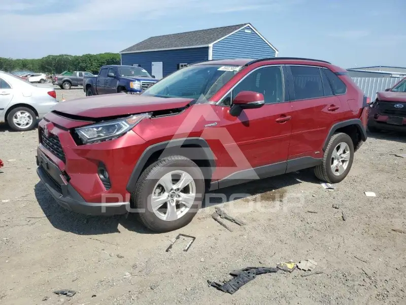 2019 Toyota RAV4 фото