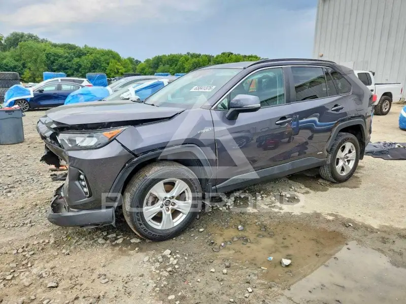 2019 Toyota RAV4 фото