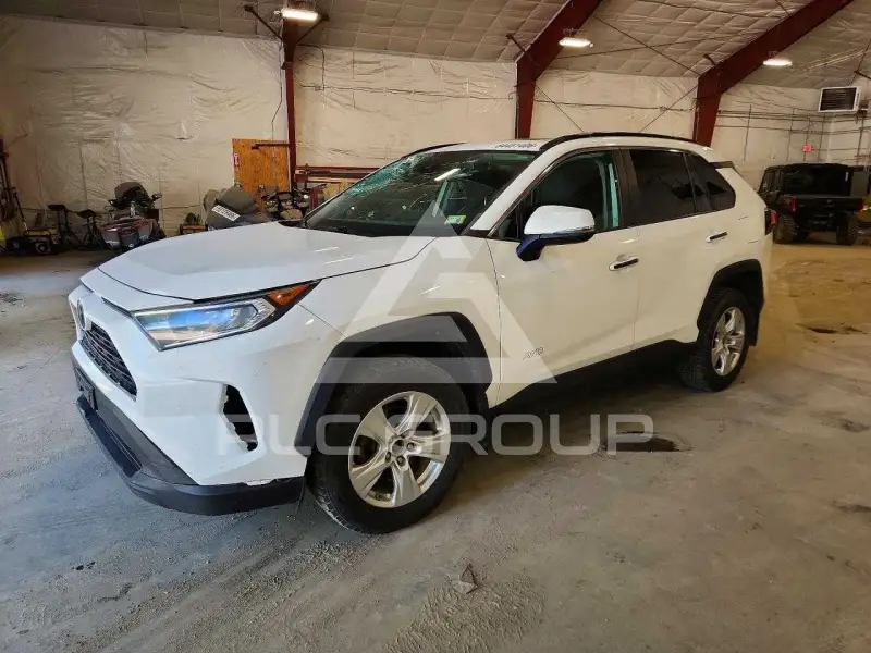 2019 Toyota RAV4 photo