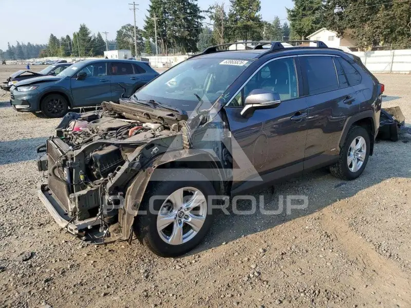 2019 Toyota RAV4 photo